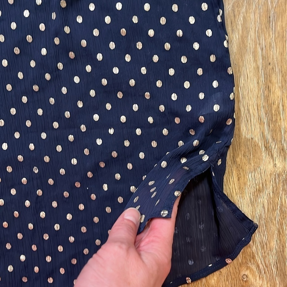 Aerie Navy & Gold Polka Dot Blouse Top Sheer Button Up Size XL EUC Collared - Picture 4 of 13